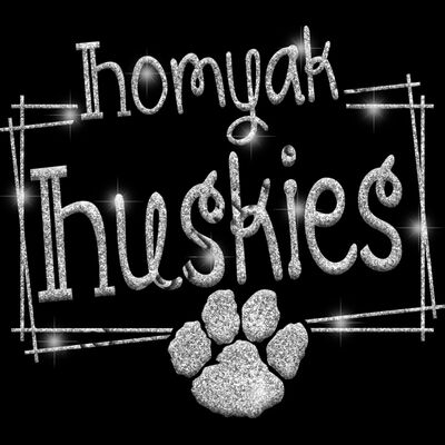 GLT90 SILVER GLITTER Thumbnail