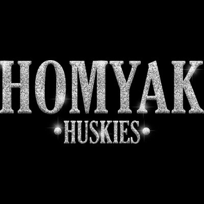 GLT21 SILVER GLITTER Thumbnail