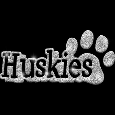 GLT17 SILVER GLITTER Thumbnail