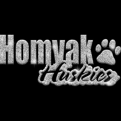 GLT1 SILVER GLITTER Thumbnail