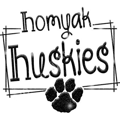 GLT90 BLACK GLITTER Thumbnail