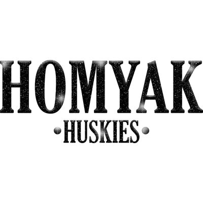 GLT21 BLACK GLITTER Thumbnail