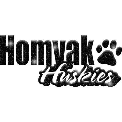 GLT1 BLACK GLITTER Thumbnail